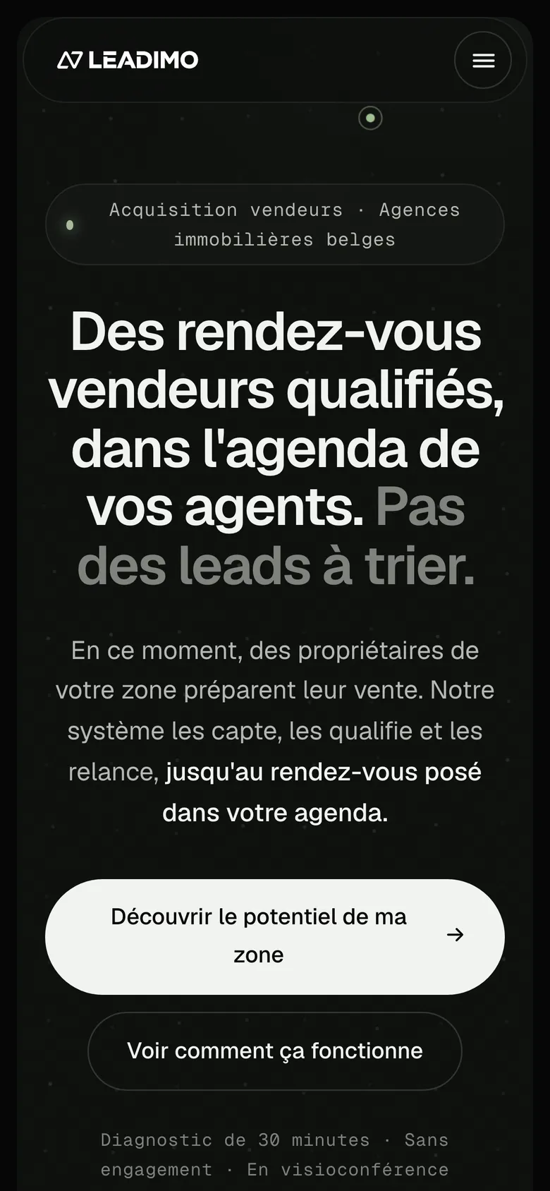 Accueil de leadimoagency.com sur téléphone.